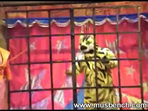 «Невероятный цирк Шардам» (Владивосток, 2004)